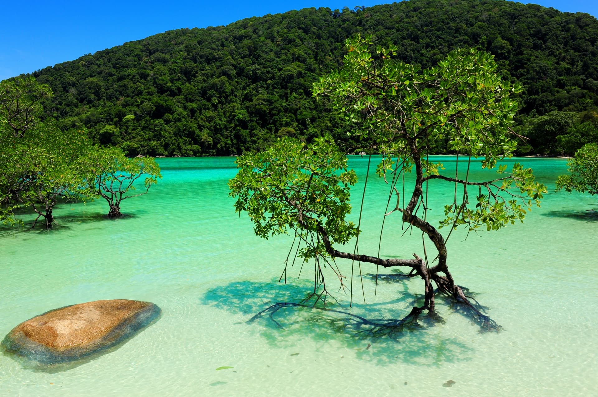 Las islas Surin