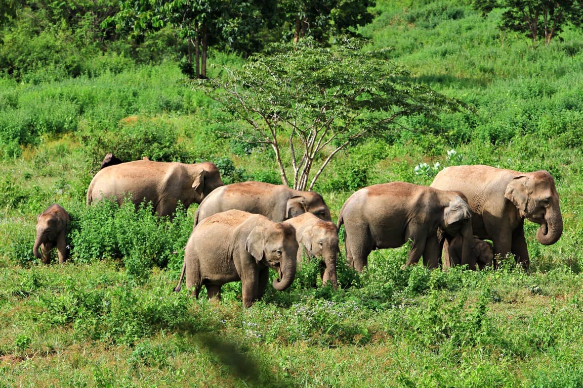 Parque Nacional de Kui Buri