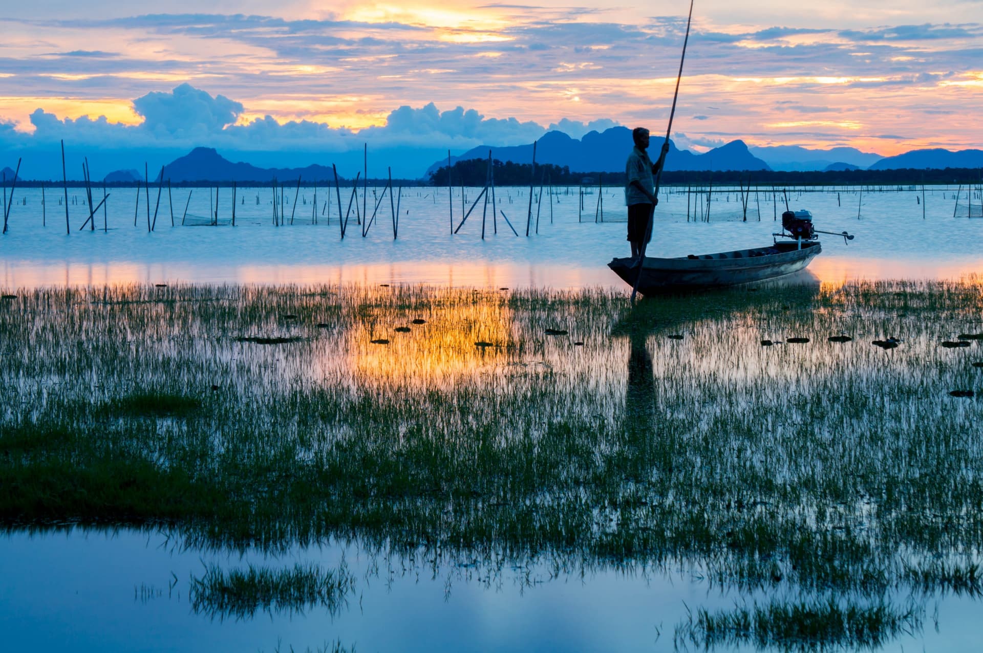 Gran Parque de Aves Acuáticas de Thale Noi